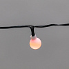 Гирлянда светодиодная Neon-Night Шарики 5м 20LED мульти (RG/RB) IP20 купить в СОМ